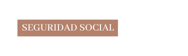 SEGURIDAD SOCIAL